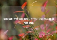 深度解析逆战信用明细，守护公平秩序与查询方法揭秘
