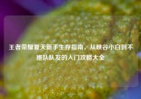 王者荣耀夏天新手生存指南，从峡谷小白到不拖队队友的入门攻略大全