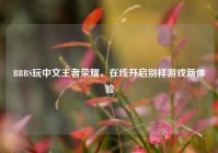 BBBS玩中文王者荣耀，在线开启别样游戏新体验