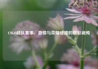 CSGO战队赛事，激情与荣耀碰撞的精彩视频