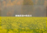 探秘逆战PP的含义