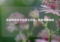 逆战游戏显卡设置全攻略，设置位置揭秘