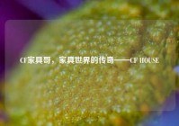 CF家具哥，家具世界的传奇——CF HOUSE