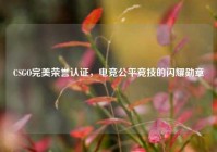 CSGO完美荣誉认证，电竞公平竞技的闪耀勋章