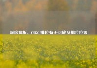 深度解析，CSGO 排位有无回放及排位位置