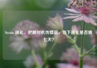 Steam 送礼，把握时机传情谊，当下送礼是否需七天？