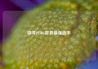 探寻PUBG世界最强选手