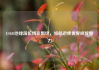 CSGO地球段位精彩集锦，领略游戏世界极致魅力
