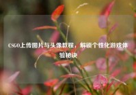 CSGO上传图片与头像教程，解锁个性化游戏体验秘诀