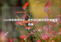 CSGO中的独特印记，战术技巧里的叉叉圈圈与圆圈