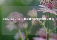 CSGO，2000 - 2500 元套装魅力与价值探寻及推荐