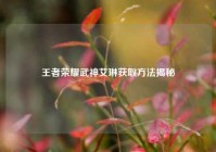 王者荣耀武神艾琳获取方法揭秘