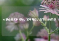 CF职业圈黑料揭秘，繁华背后，选手nice的阴影