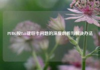 PUBG按Tab键巨卡问题的深度剖析与解决办法