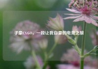 子豪CS:GO，一段让我自豪的电竞之旅