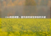 CSGO亮度调整，提升游戏视觉体验的关键