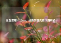 王者荣耀中红buff，战场关键元素作用解析