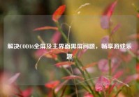 解决COD16全屏及主界面黑屏问题，畅享游戏乐趣