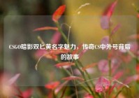 CSGO暗影双匕黄名字魅力，传奇CS中外号背后的故事