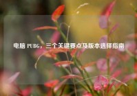 电脑 PUBG，三个关键要点及版本选择指南