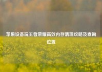 苹果设备玩王者荣耀高效内存清理攻略及查询位置