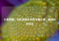 王者荣耀，与队友携手共探王者之道，解锁队友玩法
