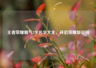 王者荣耀霸气2字名字大全，开启荣耀新征程