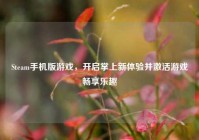 Steam手机版游戏，开启掌上新体验并激活游戏畅享乐趣
