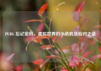 PUBG 忘记密码，虚拟世界的小危机及应对之法