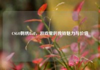 CSGO刺绣Buff，游戏里的独特魅力与价值
