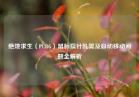 绝地求生（PUBG）鼠标指针乱晃及自动移动问题全解析