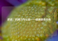 逆战，闪现刀与匕首——战场致命闪电