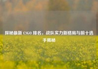探秘最新 CSGO 排名，战队实力新格局与前十选手揭秘