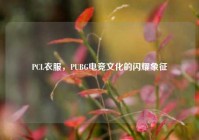 PCL衣服，PUBG电竞文化的闪耀象征
