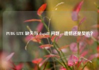 PUBG LITE 缺失与 dxgidll 问题，遗憾还是契机？
