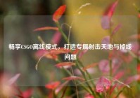 畅享CSGO离线模式，打造专属射击天地与掉线问题