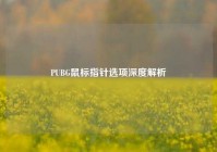 PUBG鼠标指针选项深度解析