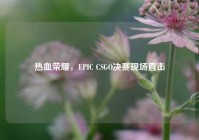 热血荣耀，EPIC CSGO决赛现场直击