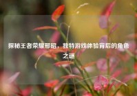 探秘王者荣耀邢昭，独特游戏体验背后的角色之谜