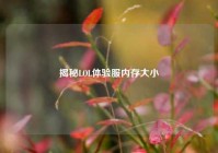 揭秘LOL体验服内存大小