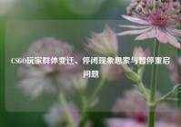 CSGO玩家群体变迁、停闭现象思索与暂停重启问题