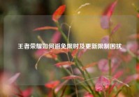 王者荣耀如何避免限时及更新限制困扰