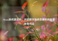 Steam游戏激活码，开启数字游戏世界的钥匙及使用方法