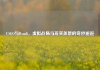 CSGO与Bondi，虚拟战场与现实美景的奇妙邂逅