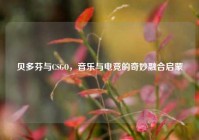 贝多芬与CSGO，音乐与电竞的奇妙融合启蒙