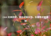 CSGO 完美回放，精彩战局永存，在哪看这里揭晓