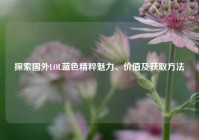 探索国外LOL蓝色精粹魅力、价值及获取方法