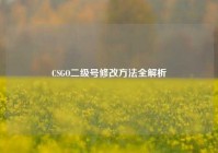 CSGO二级号修改方法全解析
