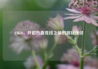 CSGO，开启热血竞技之旅的游玩途径