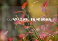 CSGO飞天大狙教程，掌握神技制霸赛场